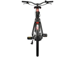 Urban E-bike All Black 2.0 X riemaandrijving<CRIVIT