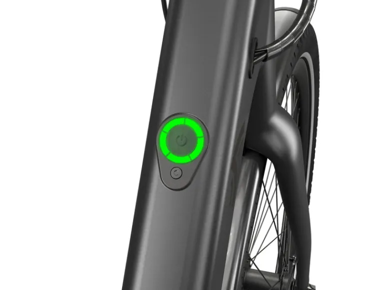Urban E-bike All Black 2.0 X riemaandrijving<CRIVIT
