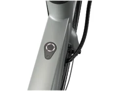 Urban elektrische fiets 3.0 X riemaandrijving<CRIVIT Sale