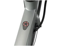 Urban elektrische fiets 3.0 X riemaandrijving<CRIVIT Sale