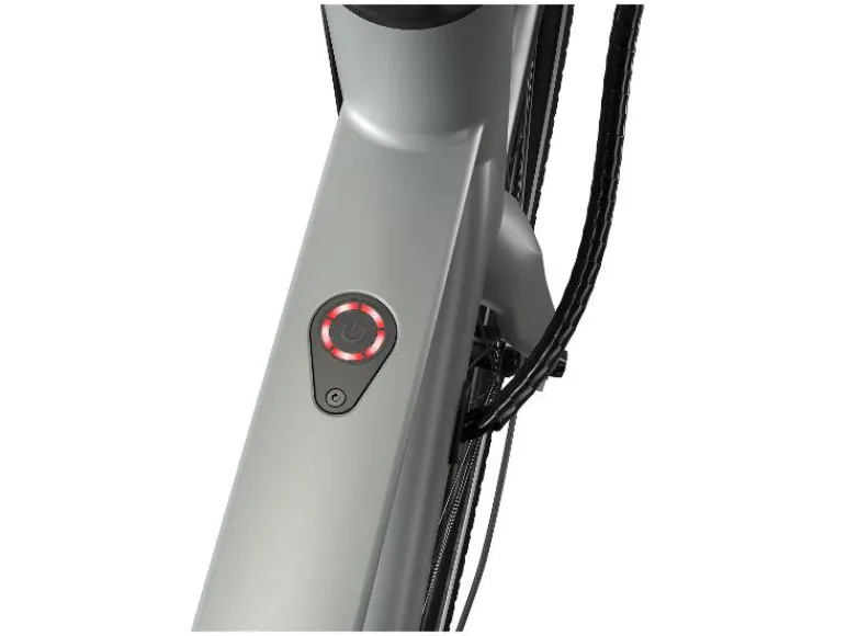 Urban elektrische fiets 3.0 X riemaandrijving<CRIVIT Sale