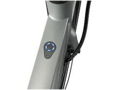 Urban elektrische fiets 3.0 X riemaandrijving<CRIVIT Sale