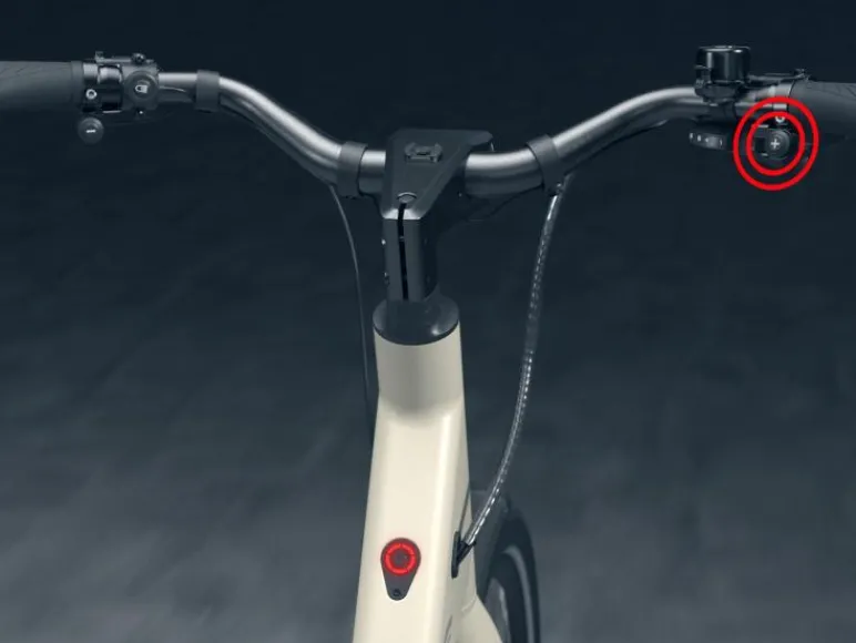 Urban elektrische fiets 3.0 X riemaandrijving<CRIVIT Sale