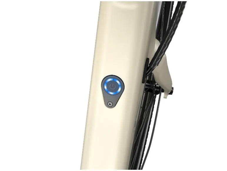 Urban elektrische fiets 3.0 Y kettingaandrijving<CRIVIT Online