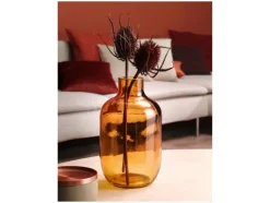 Vaas<LIVARNO home Sale