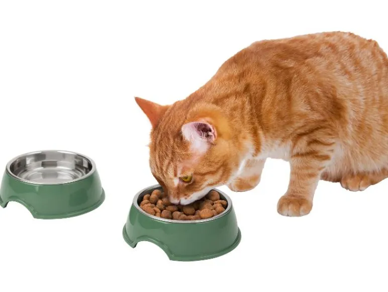Voer- en drinkbak, voermat of likmat<zoofari® Sale