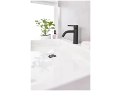 Wastafelkraan<LIVARNO home Sale