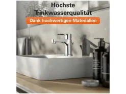 Wastafelkraan Claudio<Eisl New