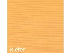 Weerbeschermende houtgel 5 liter<BAUFIX Online